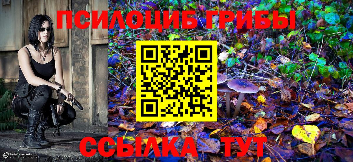 Галлюциногенные грибы ЛСД Нерюнгри